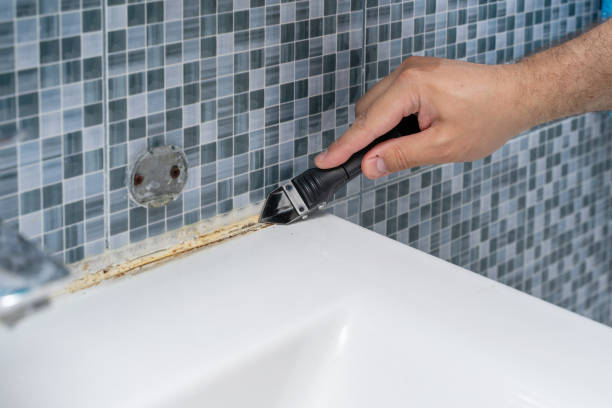 Best Office Mold Removal Services  in Varnell, GA