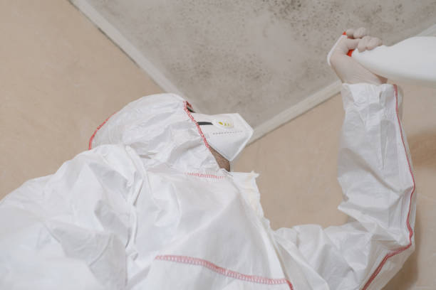 Professional Mold Removal in Varnell, GA